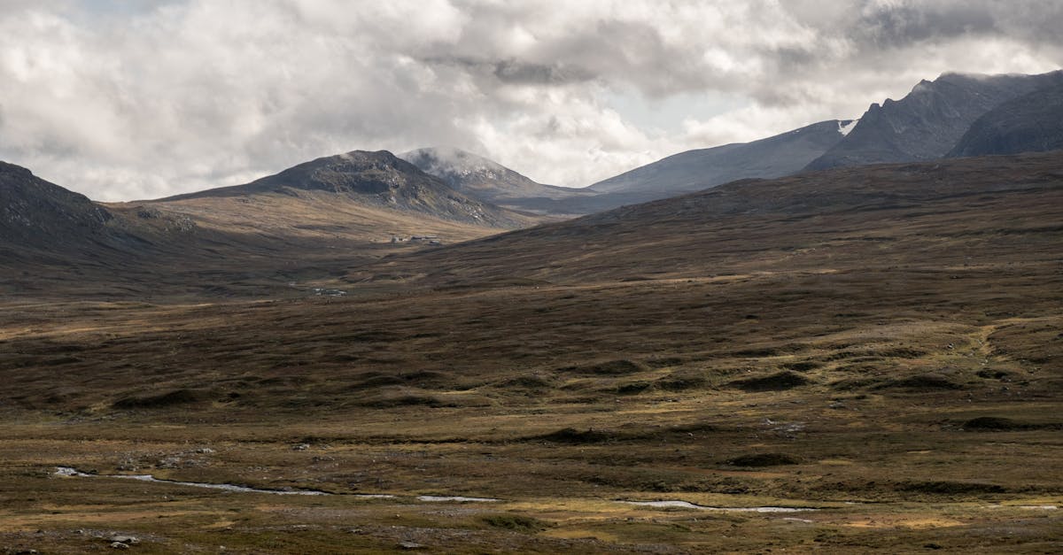 découvrez jämtland, une région enchanteresse de suède, réputée pour ses paysages magnifiques, ses activités de plein air et sa riche culture. que vous soyez amateur de randonnée, de ski ou de découverte de la nature, jämtland offre une expérience unique au cœur des alpes scandinaves.