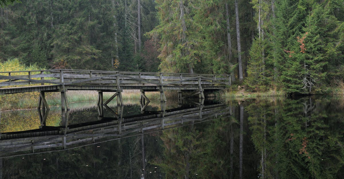 découvrez le jura, une région riche en paysages naturels époustouflants, en traditions artisanales et en activités de plein air. partez à l'aventure entre montagnes, lacs cristallins et charmants villages, tout en savourant des spécialités culinaires locales.