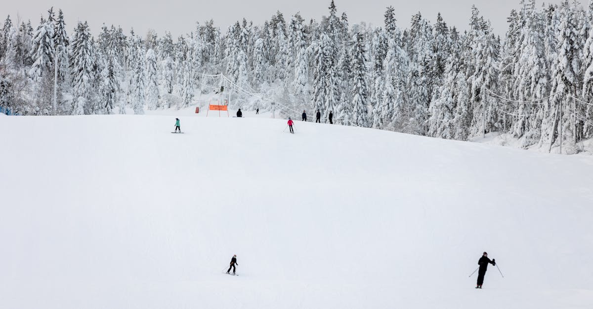 découvrez kainuu, une région fascinante de finlande, réputée pour ses paysages naturels époustouflants, ses activités de plein air et sa culture unique. explorez ses lacs, forêts et charmants villages tout en profitant d'une expérience authentique en pleine nature.
