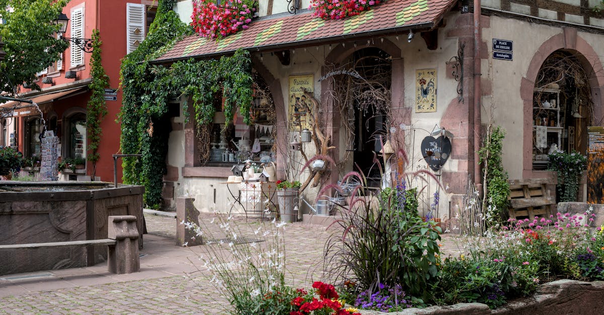 découvrez kaysersberg, une charmante ville alsacienne au cœur des vosges, célèbre pour ses maisons à colombages, ses ruelles pittoresques et son riche patrimoine historique. plongez dans l'atmosphère authentique de ce bijou alsacien, parfait pour une escapade romantique ou familiale.