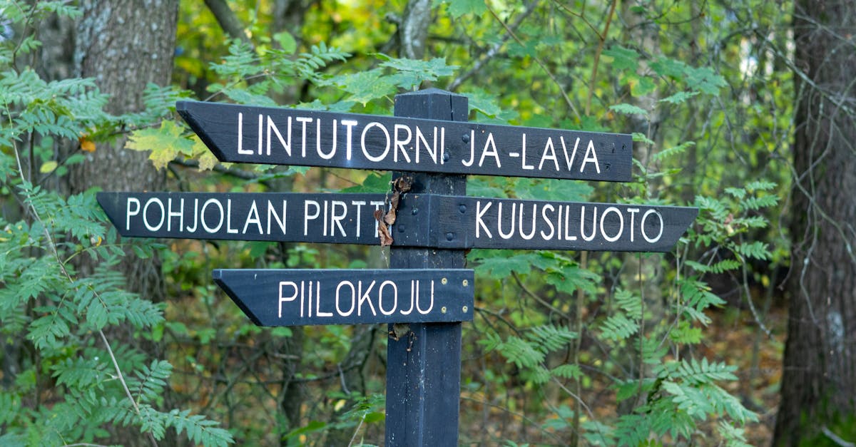 découvrez keski-pohjanmaa, une région fascinante de la finlande, offrant des paysages naturels époustouflants, une riche culture locale et de nombreuses activités de plein air. plongez dans l'authenticité finlandaise et explorez les trésors cachés de cette destination unique.