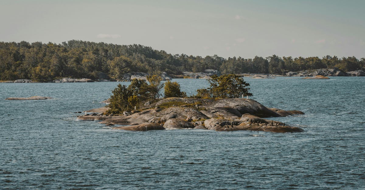 découvrez keski-suomi, une région fascinante de la finlande, célèbre pour ses lacs pittoresques, ses forêts verdoyantes et ses activités de plein air. explorez ses charmants villages, sa riche culture locale et ses festivals colorés qui célèbrent la nature et le patrimoine finlandais.