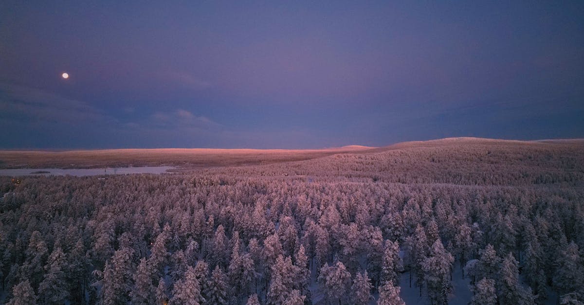 découvrez keski-suomi, une région fascinante de la finlande, où la nature sauvage rencontre la culture locale. explorez ses paysages enchanteurs, ses lacs cristallins et ses traditions uniques. que vous soyez amateur de plein air ou passionné par l'histoire finlandaise, keski-suomi a quelque chose à offrir à chacun.