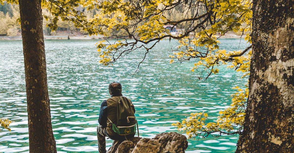 découvrez krapina-zagorje, une région pittoresque de la croatie, riche en culture, histoire et paysages naturels époustouflants. parfaite pour les amateurs de randonnées et de gastronomie locale, cette destination vous invite à explorer ses charmants villages et ses sites historiques.