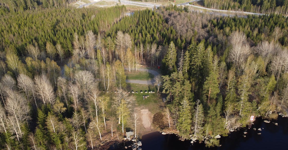découvrez kronoberg, une région suédoise riche en nature, culture et histoire. explorez ses paysages pittoresques, ses charmants villages et ses activités en plein air. idéal pour les amoureux de la nature et les aventuriers en quête de nouvelles découvertes.