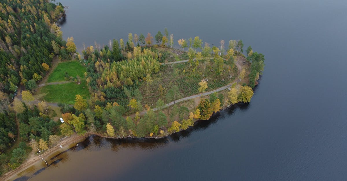 découvrez kronoberg, une destination captivante en suède où la nature sauvage rencontre l'histoire fascinante. explorez des paysages enchanteurs, des lacs cristallins et des sites historiques, tout en profitant d'activités de plein air variées. kronoberg vous invite à vivre des expériences inoubliables au cœur de la beauté scandinave.