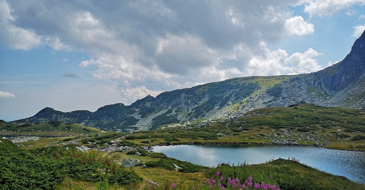 découvrez kyustendil, une ville bulgare riche en histoire et en culture, réputée pour ses sources thermales, ses paysages pittoresques et son patrimoine architectural fascinant. explorez ses monuments clés et savourez la cuisine locale dans ce joyau caché des balkans.