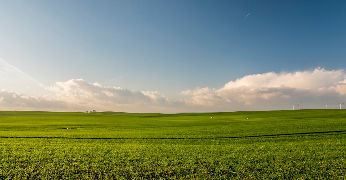 découvrez la beauté des paysages à couper le souffle, des montagnes majestueuses aux plages sereines. plongez dans un voyage visuel à travers des horizons variés, où la nature dévoile ses plus belles formations et panoramas. explorez chaque recoin du monde et laissez-vous inspirer par la diversité des paysages.