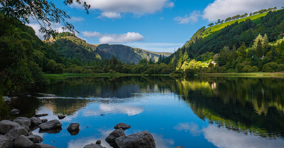 découvrez le leinster, une des provinces d'irlande, réputée pour ses paysages pittoresques, sa riche histoire et ses villes dynamiques comme dublin et kilkenny. explorez ses châteaux, ses monuments historiques et profitez d'une culture vibrante qui allie tradition et modernité.