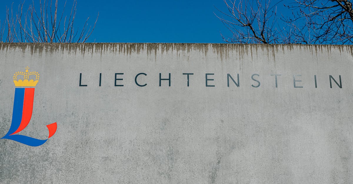 découvrez le liechtenstein, un petit pays alpin entre la suisse et l'autriche, célèbre pour ses paysages majestueux, son patrimoine culturel unique et ses attractions comme le château de vaduz. explorez une destination parfaite pour les amateurs de nature, d'histoire et de tranquillité.