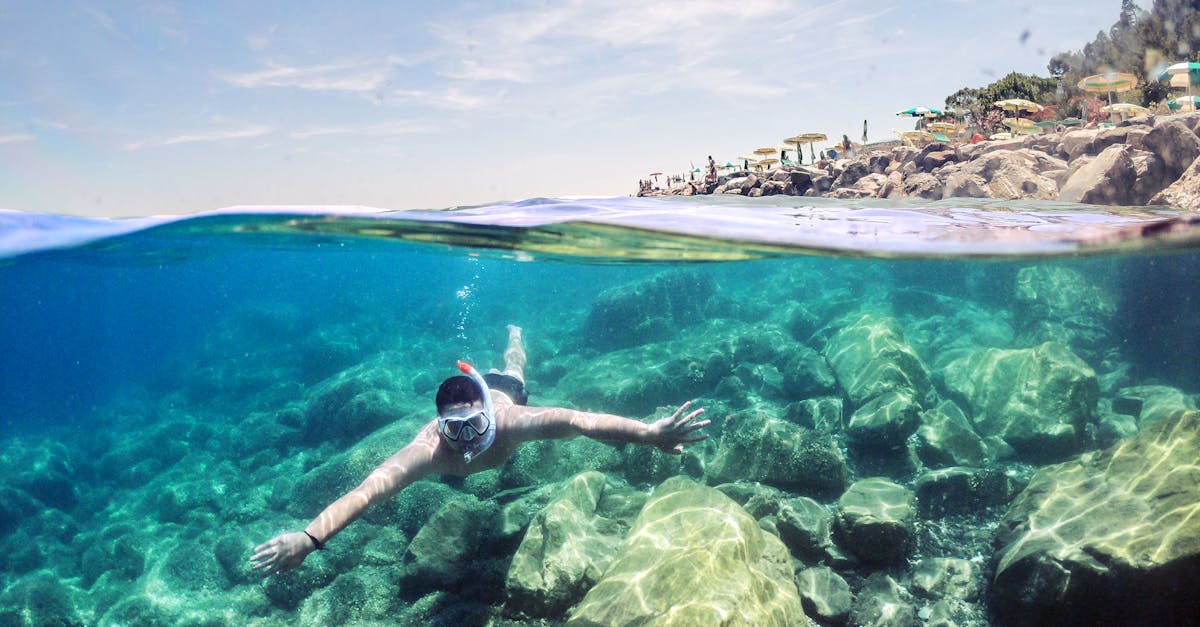 découvrez la ligurie, une magnifique région italienne bordée par la mer ligure, célèbre pour ses paysages côtiers, ses villages colorés comme portofino et cinque terre, ainsi que sa délicieuse cuisine méditerranéenne. explorez ses trésors naturels, son patrimoine historique et ses plages ensoleillées pour des vacances inoubliables.