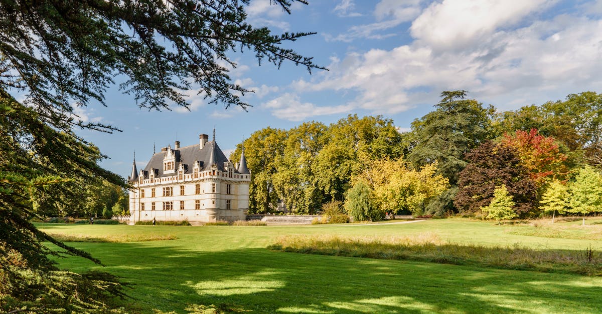 découvrez la loire, fleuve majestueux et patrimoine naturel en france. partez à l'aventure parmi ses paysages enchanteurs, ses châteaux historiques et sa riche biodiversité. explorez les activités nautiques, les découvertes culturelles et les délices culinaires que cette région a à offrir.