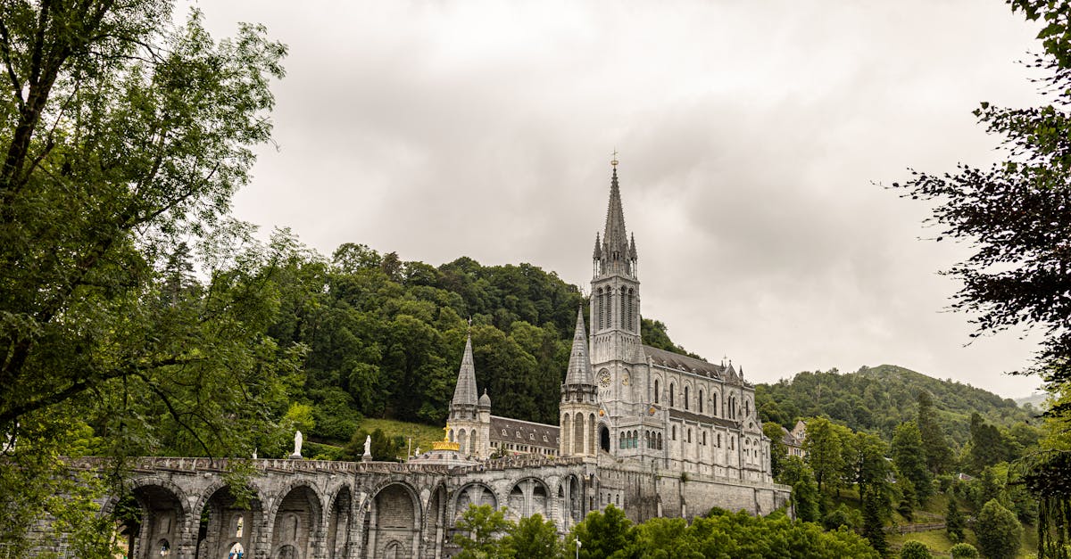 découvrez lourdes, cette ville emblématique située au cœur des pyrénées, connue pour ses sanctuaires et son histoire religieuse. explorez les expériences spirituelles, les sites naturels époustouflants et la richesse culturelle qui font de lourdes une destination unique et inspirante.