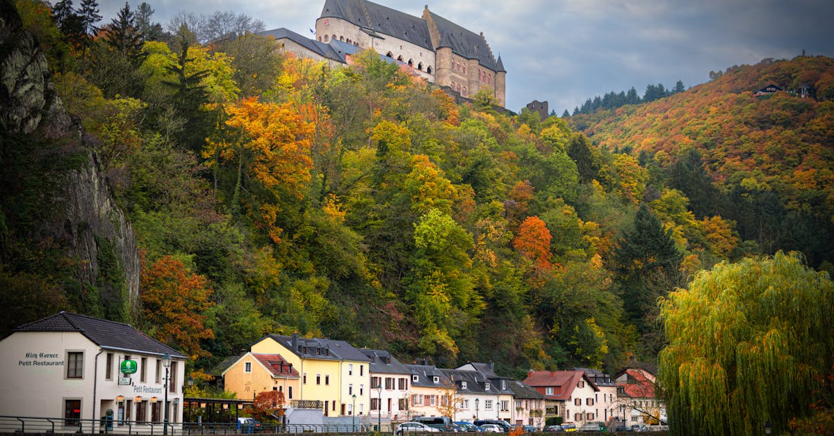 découvrez le luxembourg, un joyau européen alliant culture, histoire et nature. explorez ses magnifiques paysages, sa riche gastronomie et ses attractions uniques, tout en profitant de la modernité d'une des capitales les plus dynamiques du monde.