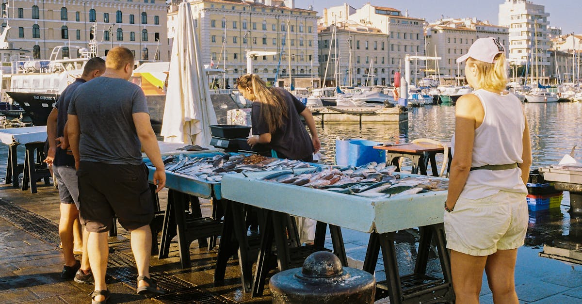 découvrez marseille, la cité phocéenne, célèbre pour son riche patrimoine historique, ses plages ensoleillées et sa délicieuse cuisine méditerranéenne. explorez ses quartiers emblématiques, admirez le vieux port et plongez dans la culture vibrante de cette ville dynamique.