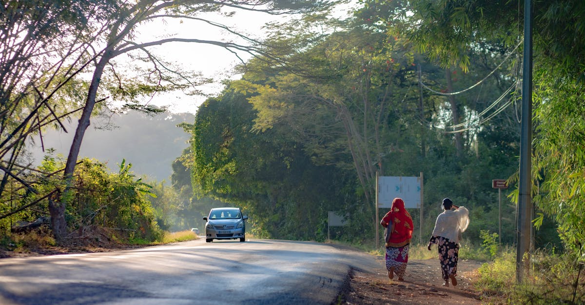 découvrez mayotte, une île paradisiaque de l'océan indien, riche en culture et biodiversité. explorez ses magnifiques plages, ses lagons turquoise et sa faune unique, tout en apprenant sur l'héritage culturel des mahorais. une destination idéale pour les amoureux de la nature et les aventuriers!
