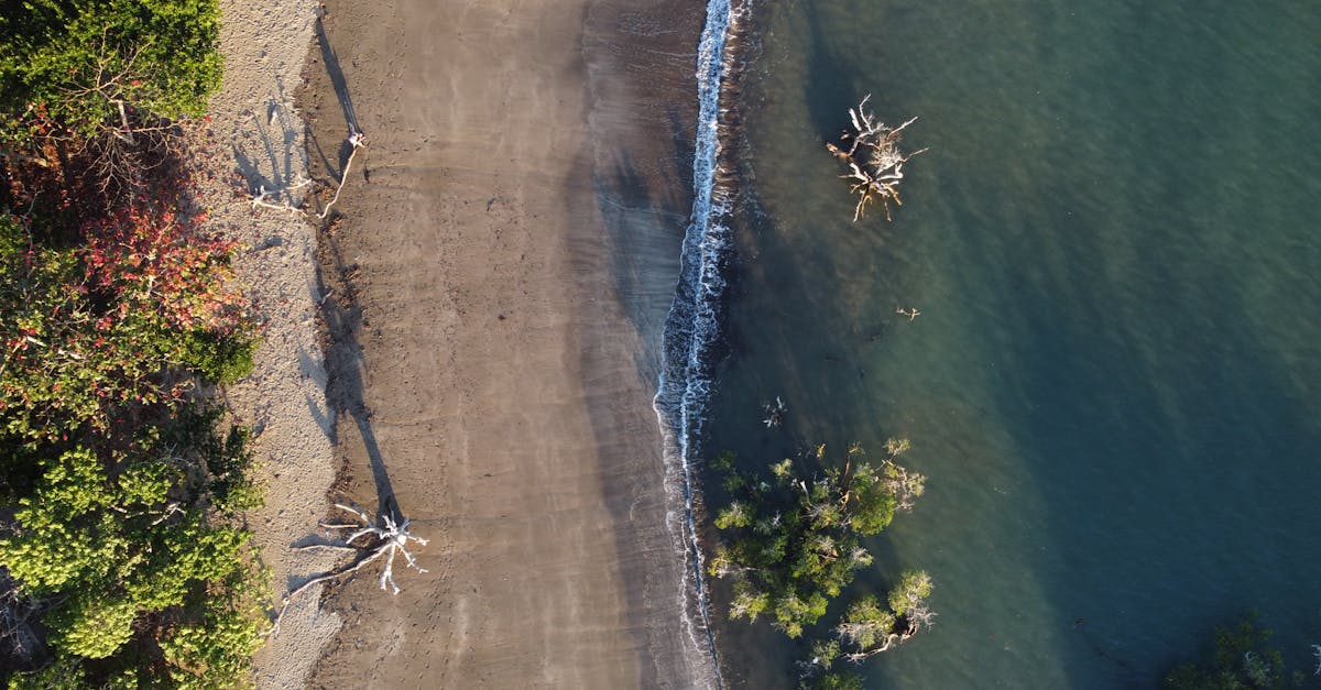découvrez mayotte, une île paradisiaque située dans l'océan indien, célèbre pour ses lagons turquoise, sa biodiversité unique et sa culture riche. explorez ses paysages époustouflants, ses plages de sable blanc et son patrimoine naturel exceptionnel tout en profitant d'activités variées telles que la plongée, la randonnée et la découverte de la faune marine.