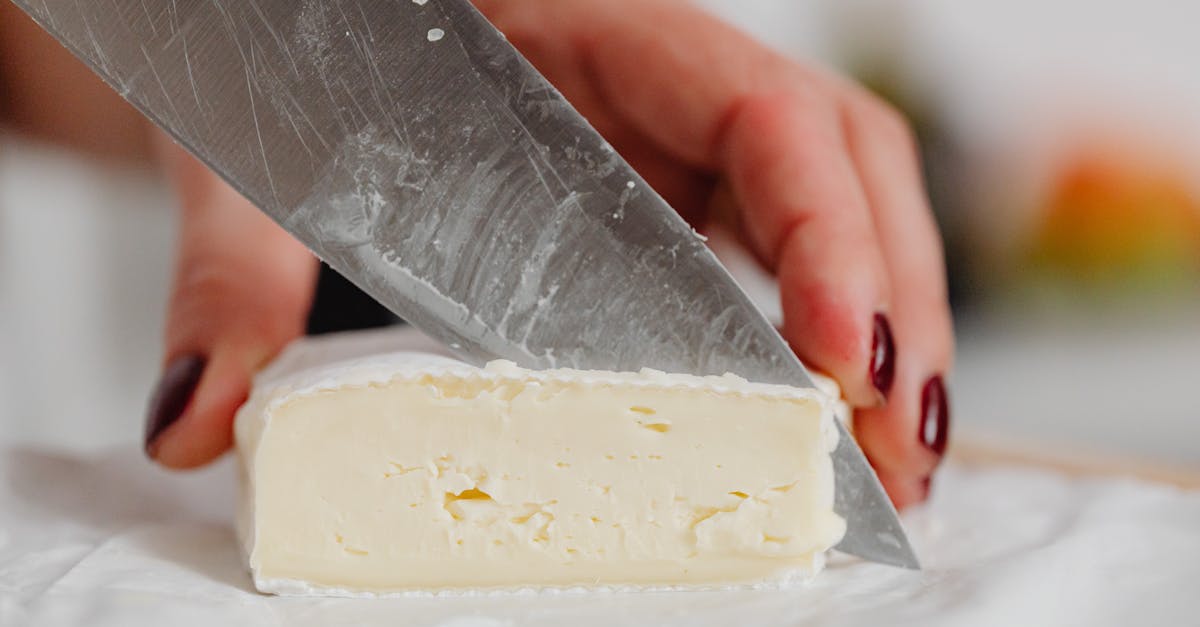 découvrez meaux, une charmante ville française située en seine-et-marne, célèbre pour son patrimoine historique, sa célèbre brie et ses berges pittoresques le long de la marne. explorez ses monuments, savourez ses délices culinaires et profitez d'un cadre bucolique entre nature et culture.