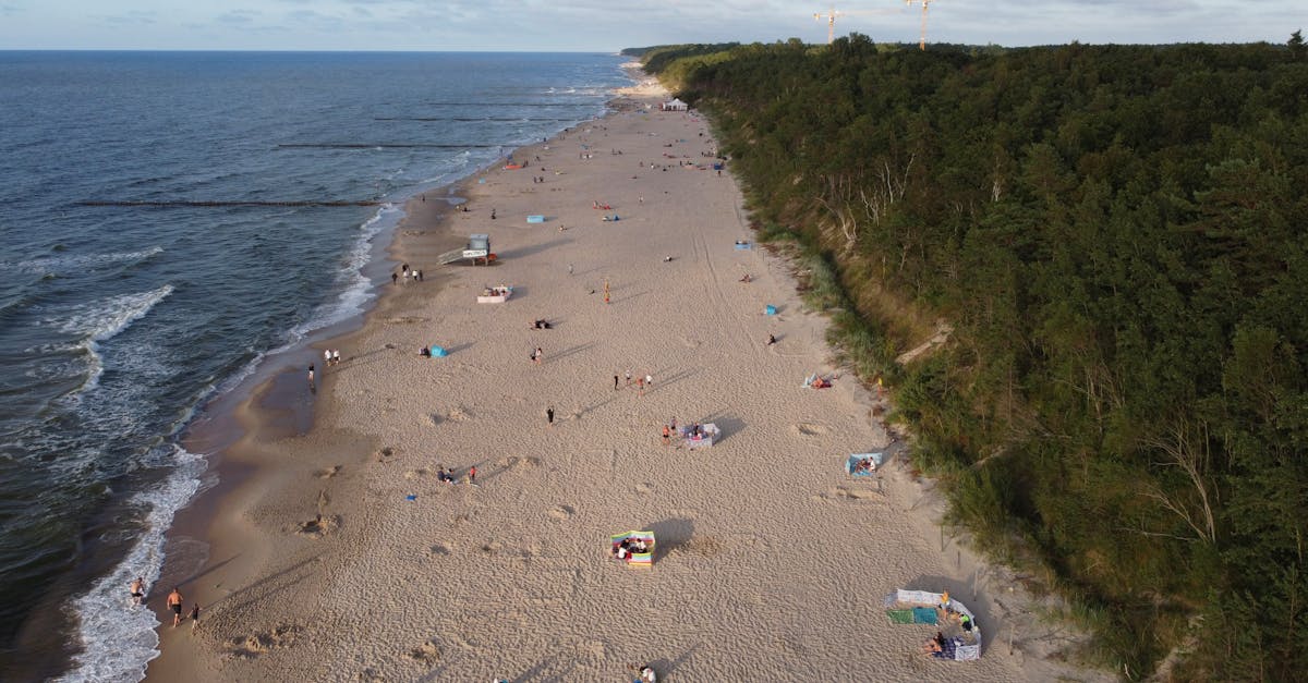 découvrez la mecklenburg-vorpommern, une région allemande fascinante, mêlant paysages pittoresques de la baltique, charmants villages, et riches traditions culturelles. parfait pour les amateurs de nature et d'histoire, explorez ses parcs nationaux, ses îles idylliques et ses châteaux spectaculaires.
