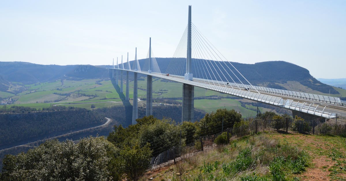découvrez millau, une charmante ville française nichée au cœur des causses, réputée pour son viaduc majestueux, ses paysages époustouflants et sa riche histoire. que vous soyez amateur de randonnée, d'histoire ou de gastronomie, millau saura vous séduire.