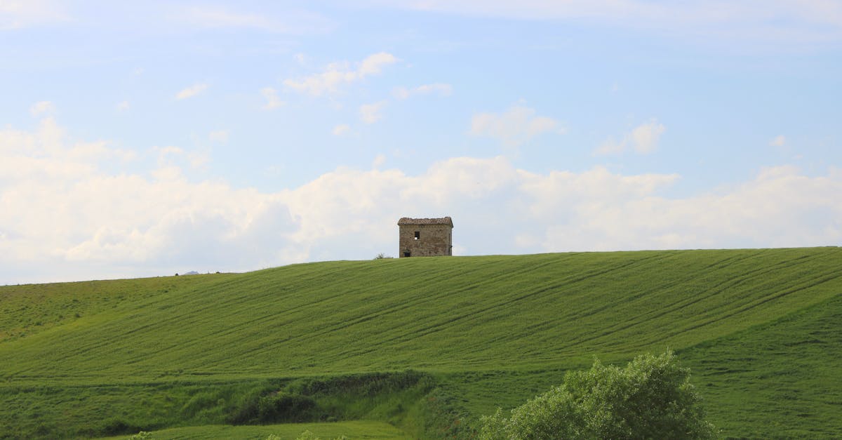 découvrez la beauté authentique de la région du molise, en italie. entre paysages pittoresques, traditions culinaires savoureuses et villages médiévaux, le molise offre une expérience unique pour tous les amoureux de la nature et de la culture.