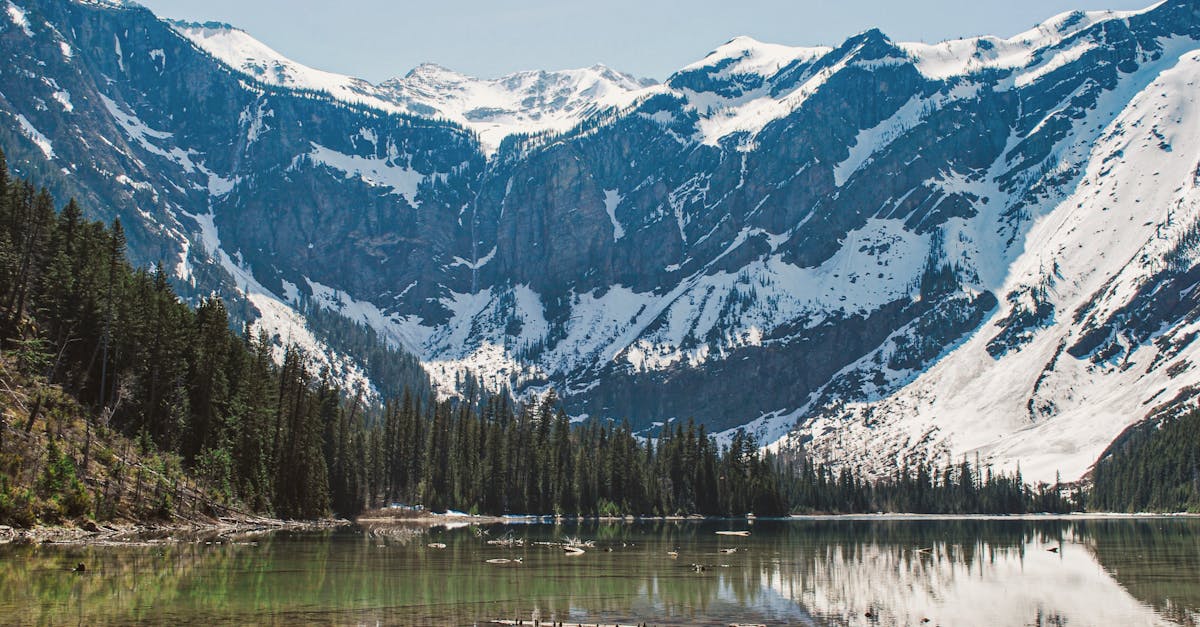 découvrez le montana, un état emblématique des états-unis, célèbre pour ses paysages à couper le souffle, ses parcs nationaux majestueux et son patrimoine culturel riche. explorez les montagnes, les lacs cristallins et profitez d'activités en plein air variées, du randonné au ski. parfait pour les amoureux de la nature et les aventuriers en quête d'évasion.