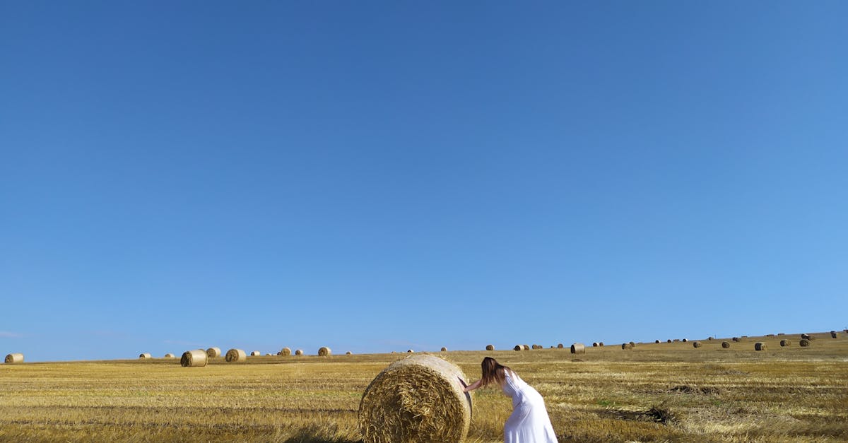 découvrez moravia, une région riche en culture et en histoire, offrant des paysages époustouflants et une gastronomie authentique. explorez ses traditions, ses festivals et laissez-vous séduire par l'hospitalité de ses habitants.
