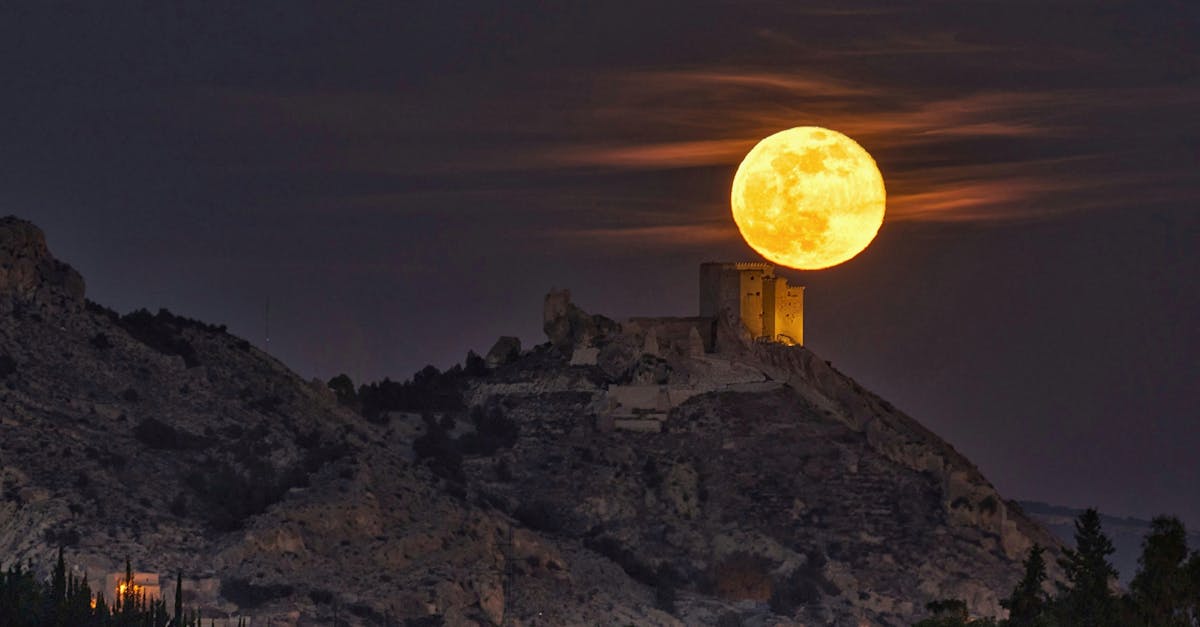 découvrez murcia, une splendide ville espagnole alliant histoire, culture et gastronomie. explorez ses monuments historiques, ses charmantes ruelles et savourez des plats typiques dans un cadre enchanteur.