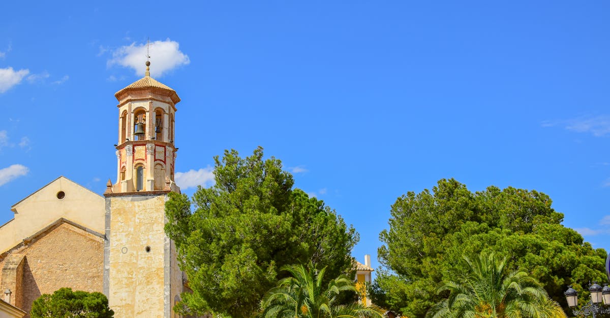 découvrez murcia, une région riche en histoire et en culture, offrant des paysages magnifiques, une gastronomie savoureuse et des activités variées. explorez ses monuments emblématiques, ses festivals vivants et la chaleur de ses habitants. planifiez votre visite à murcia pour une expérience inoubliable!