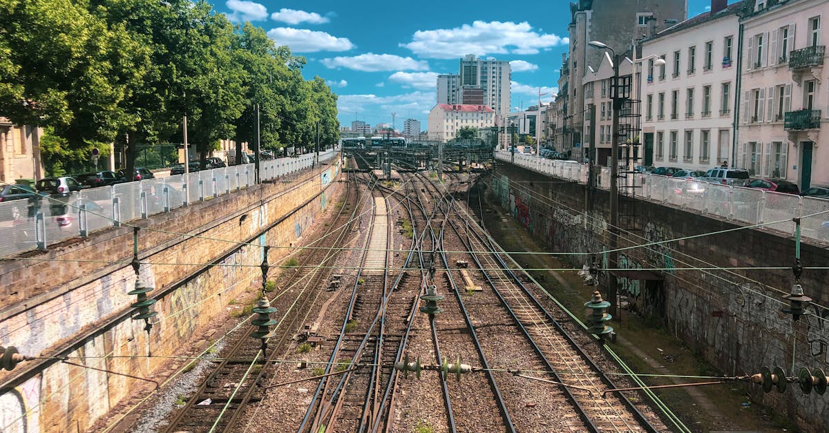 découvrez nancy, une ville riche en histoire et en culture, célèbre pour sa place stanislas, son patrimoine architectural exceptionnel et sa gastronomie. explorez ses musées, ses parcs et plongez dans l'ambiance dynamique de cette destination incontournable en lorraine.
