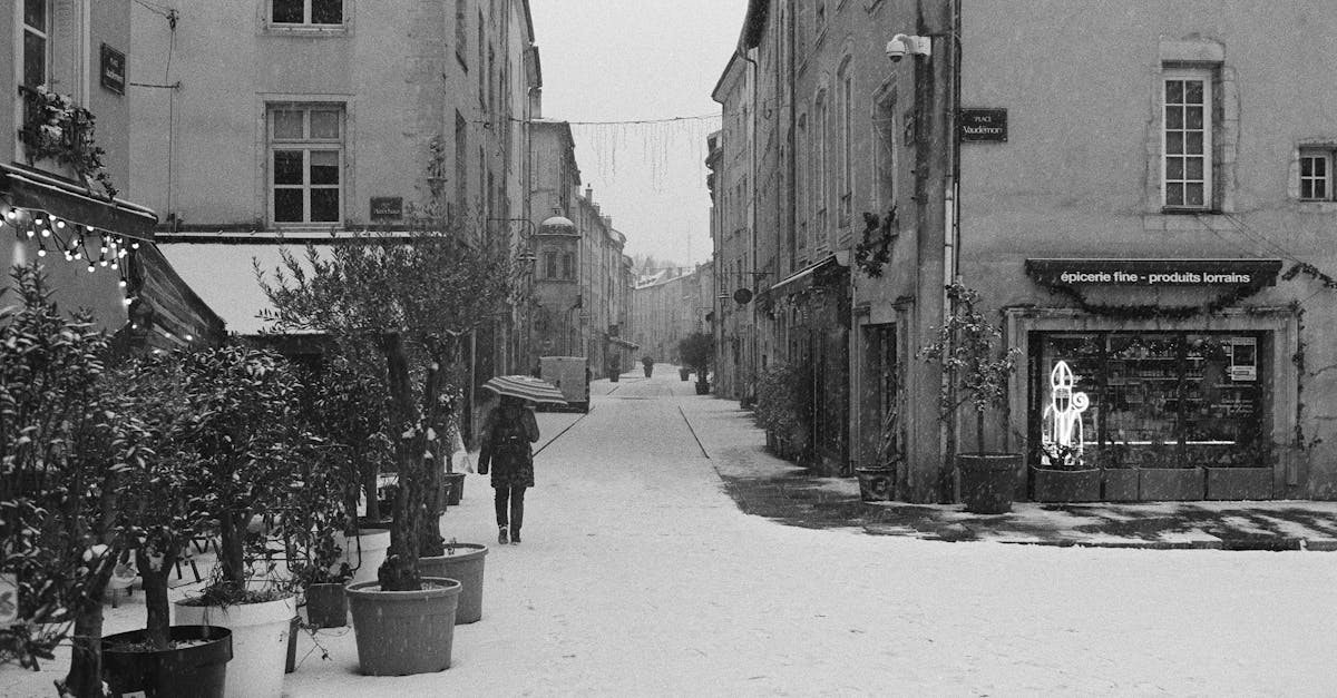 découvrez nancy, une ville historique de l'est de la france, célèbre pour sa place stanislas, son art nouveau et sa riche culture. explorez ses musées, ses parcs verdoyants et savourez sa gastronomie locale.