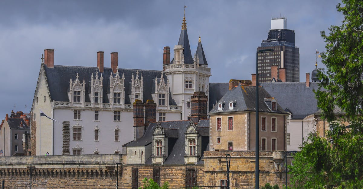 découvrez nantes, une ville dynamique et riche en histoire située dans l'ouest de la france. explorez ses canaux, ses châteaux, et sa culture vibrante, tout en savourant sa cuisine locale. nantes, c'est une destination idéale pour les amoureux d'art et de nature.