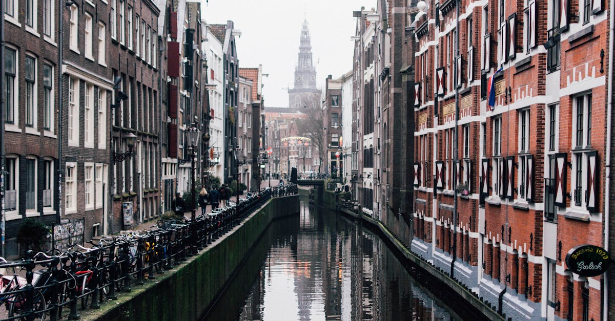 découvrez les charmes des pays-bas : paysages pittoresques, tulipes colorées, canaux emblématiques et culture riche. explorez amsterdam, rotterdam et bien d'autres villes fascinantes, tout en appréciant la gastronomie locale et l'hospitalité néerlandaise.