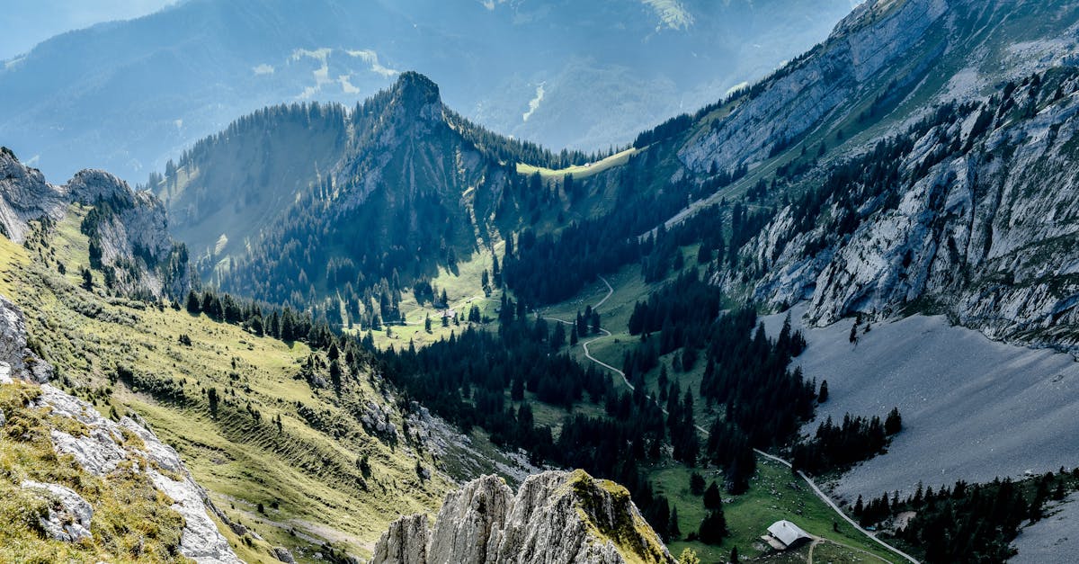 découvrez nidwalden, un canton suisse enchanteur offrant des paysages à couper le souffle, des lacs cristallins et des montagnes majestueuses. explorez la culture locale, profitez d'activités de plein air toute l'année et plongez dans l'histoire fascinante de cette région pittoresque.