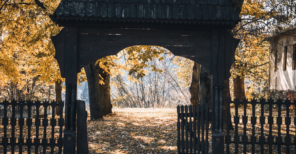 découvrez nógrád, une région fascinante pleine de paysages naturels époustouflants, de patrimoine culturel riche et de charmants villages. plongez dans l'histoire et l'authenticité de cette destination peu connue, idéale pour les amateurs de nature et de tranquillité.