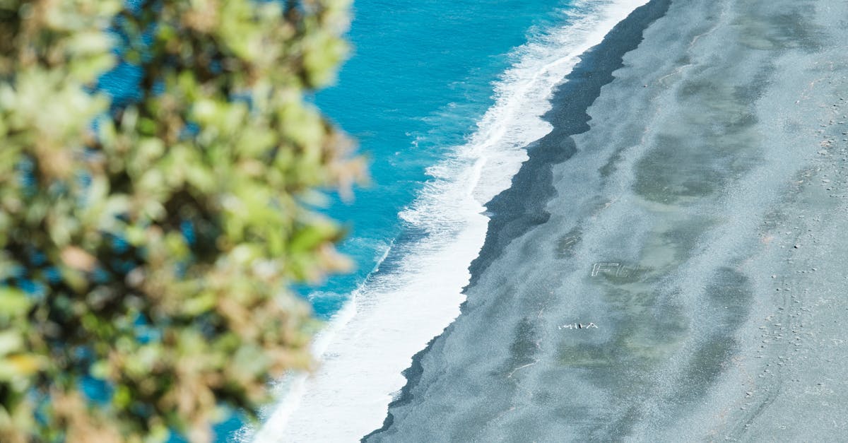 découvrez nonza, un charmant village corse, réputé pour ses paysages époustouflants, ses plages de sable noir et son patrimoine historique. plongez dans l'atmosphère authentique de ce havre de paix, idéal pour les amoureux de la nature et les passionnés de culture.
