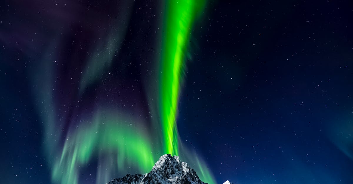 découvrez nordland, une région fascinante au cœur de la nature sauvage, où fjords majestueux et paysages époustouflants se rencontrent. partez à l'aventure à travers ses villages pittoresques, sa culture riche et ses activités en plein air. une expérience inoubliable vous attend!