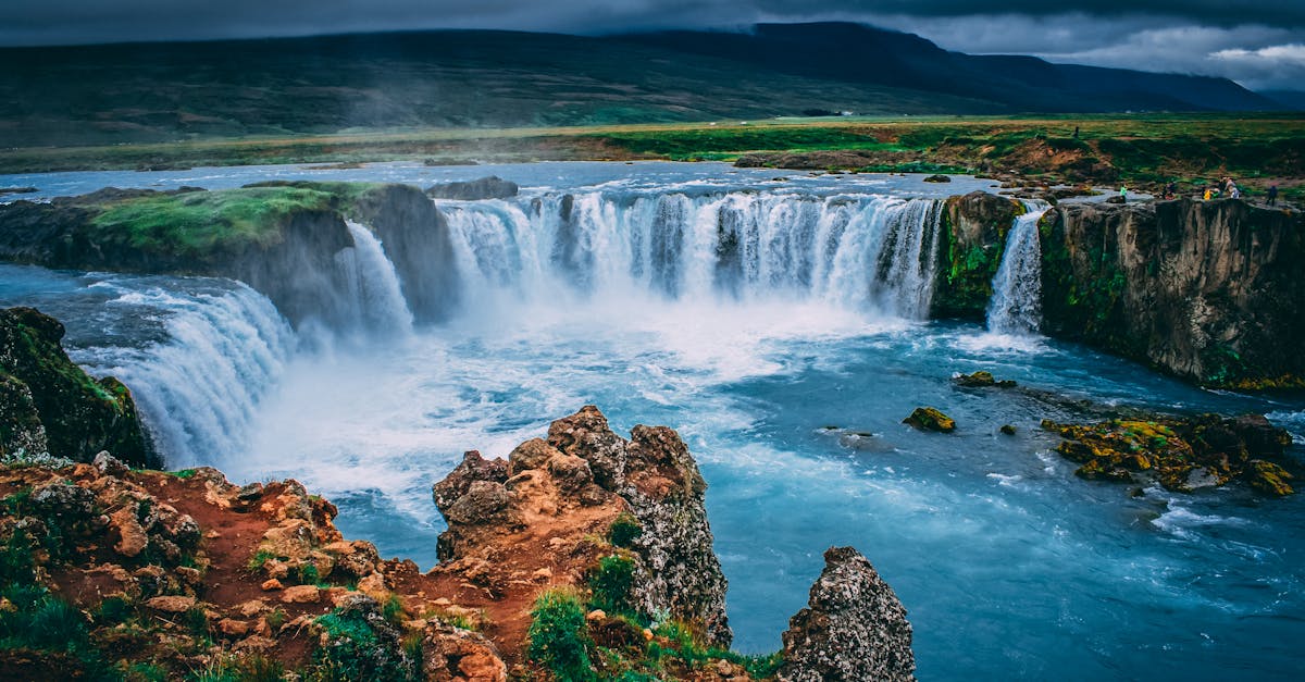 découvrez 'north', une explorations fascinante des paysages, cultures et aventures qui se cachent dans les régions nordiques. plongez dans une expérience inoubliable, mélangeant nature sauvage et traditions enrichissantes.