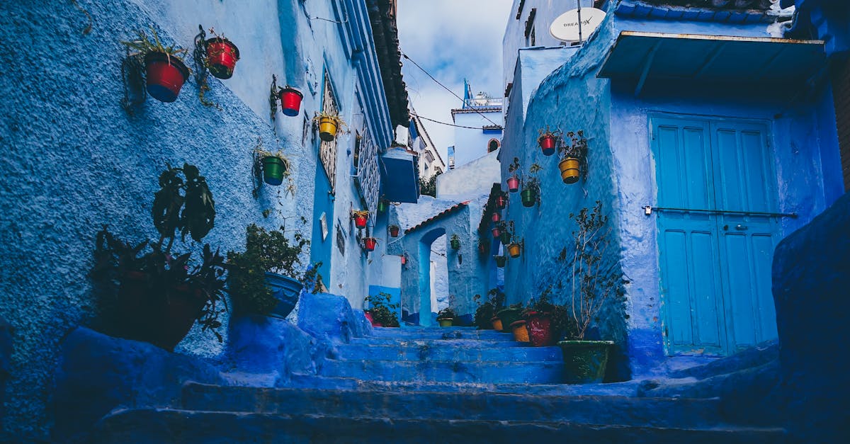 découvrez la richesse culturelle et la beauté naturelle de l'afrique du nord, une région fascinante qui allie histoire, traditions millénaires et paysages à couper le souffle. explorez ses villes emblématiques, ses déserts immenses et sa cuisine délicieuse.