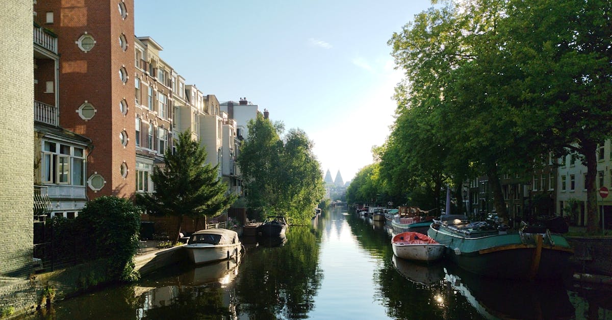 découvrez north holland, une région fascinante des pays-bas, riche en paysages pittoresques, charmants villages et culture vibrante. explorez amsterdam, les tulipes, et les plages de la mer du nord pour une expérience inoubliable.