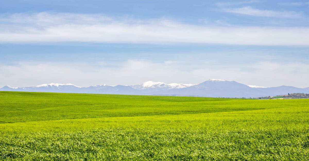 découvrez la macédoine du nord, un pays riche en histoire, culture et paysages époustouflants. explorez ses villes pittoresques, ses lacs scintillants et ses montagnes majestueuses. plongez dans la gastronomie locale et les traditions accueillantes de ce joyau des balkans.