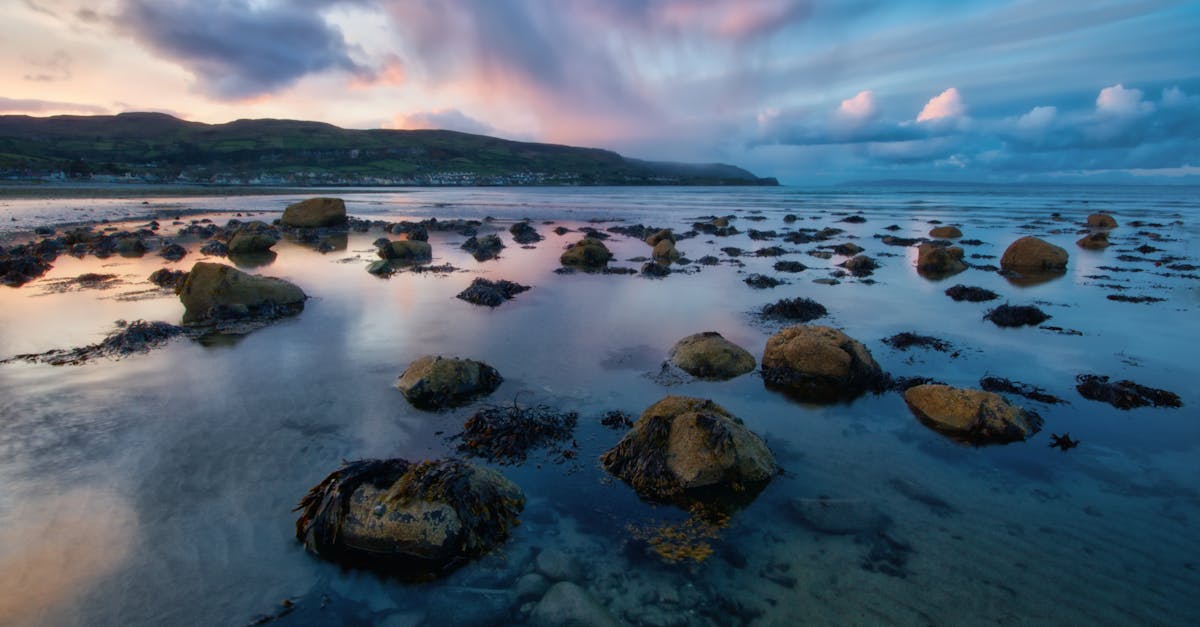 découvrez la beauté envoûtante de l'irlande du nord, ses paysages à couper le souffle, son riche patrimoine culturel et ses mythes fascinants. explorez des sites emblématiques comme la chaussée des géants et belfast, et plongez dans une aventure inoubliable au cœur des traditions irlandaises.