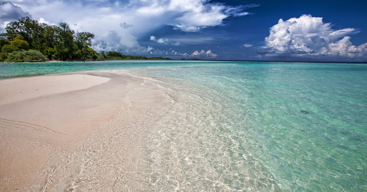 découvrez oceania, un univers captivant alliant nature majestueuse, cultures riches et aventures inoubliables. explorez nos destinations uniques, plongez dans des paysages à couper le souffle et vivez des expériences authentiques au cœur de l'océan pacifique.