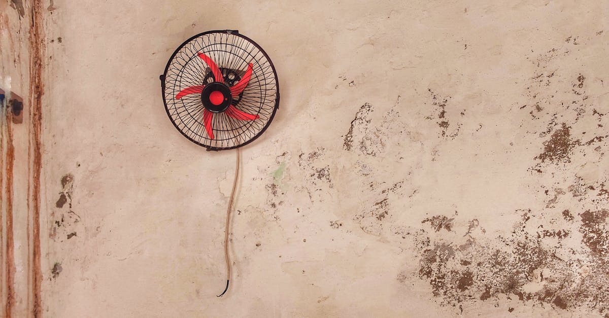 découvrez l'histoire fascinante des anciens habitants, de leurs cultures riches et des vestiges laissés derrière eux. plongez dans un voyage à travers le temps et explorez les traditions qui ont façonné notre héritage.
