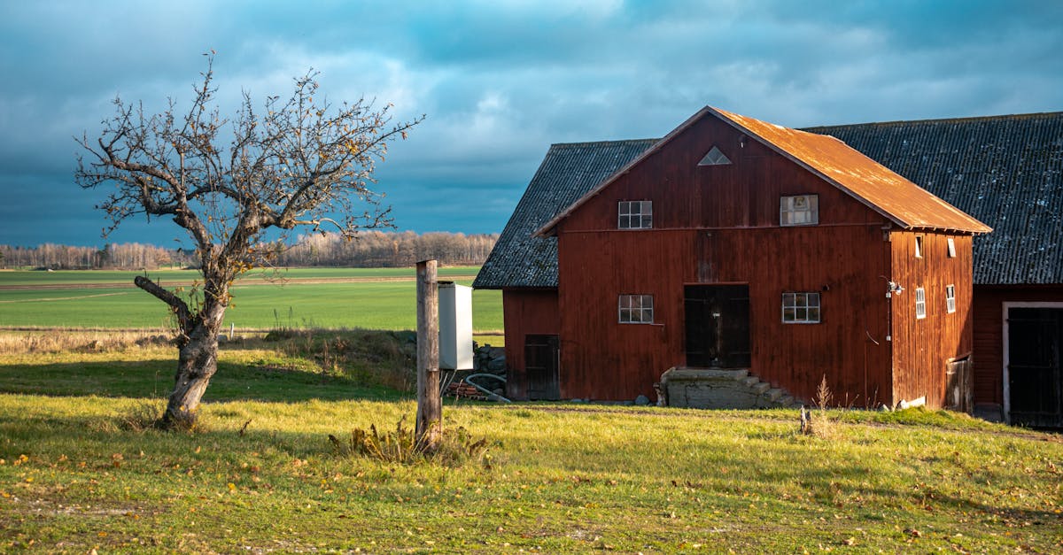 découvrez örebro, une charmante ville suédoise riche en histoire et culture. explorez son impressionnant château, flânez dans les rues pittoresques et profitez d'une variété d'activités en plein air. plongez dans l'hospitalité locale et savourez la cuisine traditionnelle tout en découvrant les trésors cachés de cette destination unique.