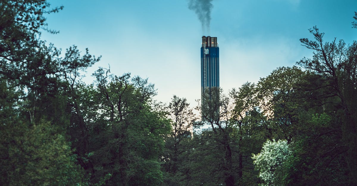 découvrez örebro, une charmante ville suédoise alliant histoire, culture et nature. explorez son majestueux château, flânez à travers ses parcs verdoyants et savourez la cuisine locale dans une ambiance conviviale.