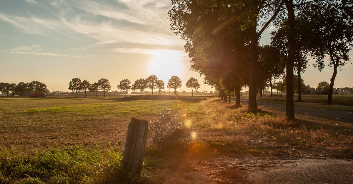 découvrez overijssel, une région néerlandaise riche en paysages pittoresques, villages charmants, et activités de plein air. explorez ses réserves naturelles, ses canaux paisibles et savourez la culture locale à travers sa gastronomie et ses traditions.