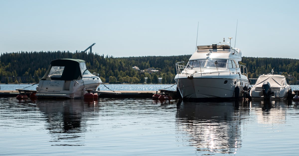 découvrez la région de päijät-häme en finlande, un endroit magnifique alliant nature préservée, lacs scintillants et traditions culturelles. explorez ses paysages, ses activités de plein air et son patrimoine unique.