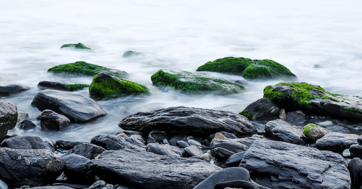 découvrez un havre de paix où sérénité et détente s'entremêlent. plongez dans un univers calme et apaisant, idéal pour échapper au stress quotidien et retrouver l'équilibre.