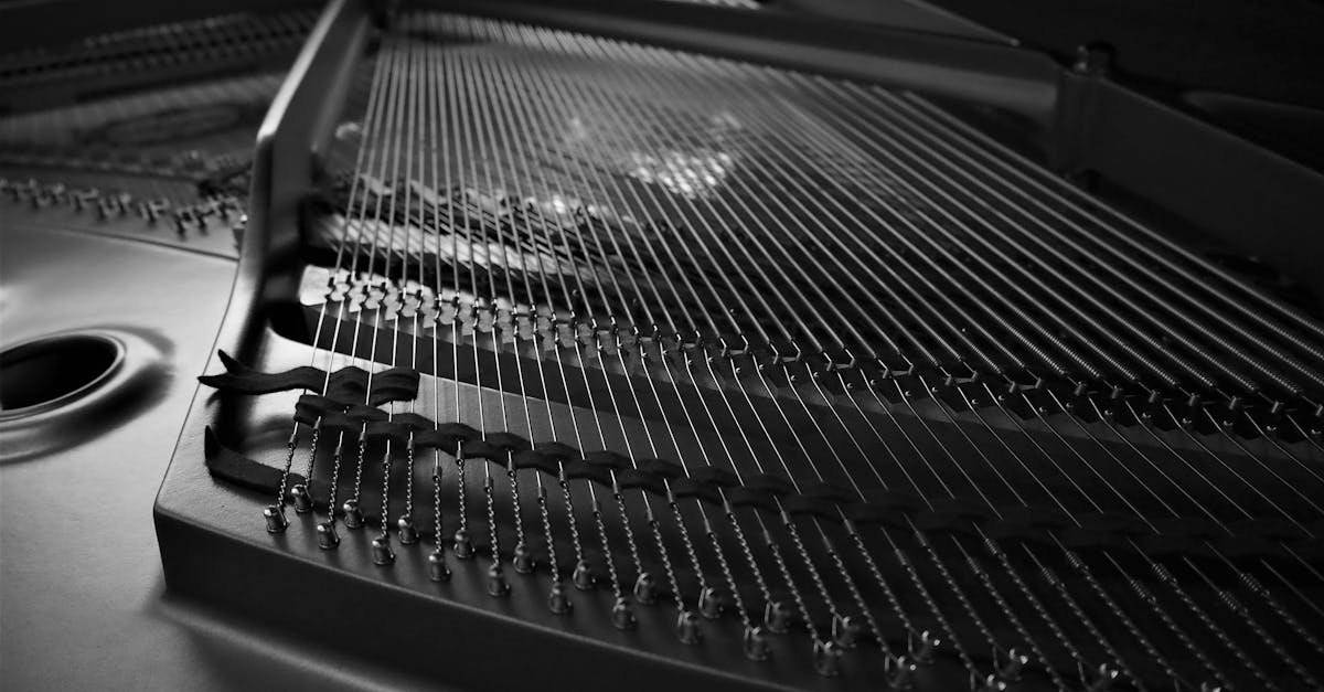 découvrez l'univers captivant du piano, instrument emblématique de la musique classique et contemporaine. apprenez à jouer, explorez des techniques et trouvez des conseils pour débutants et musiciens avancés.